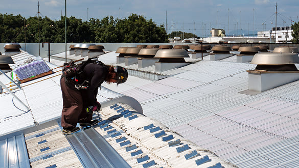 カナメについて画像2